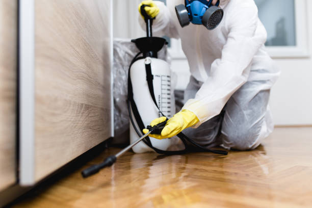 Best Wasp Removal Services  in Forestbrook, SC