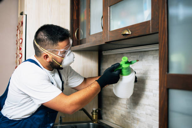 Best Mosquito Control Services  in Forestbrook, SC