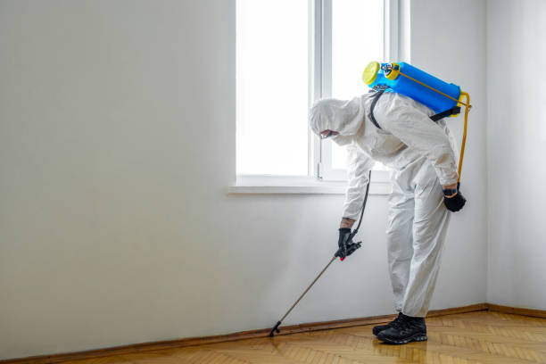 Best Pest Prevention Services  in Forestbrook, SC