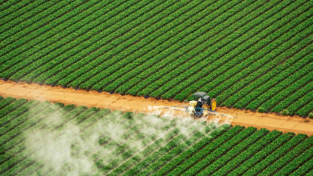 Best Best Pest Control Companies  in Forestbrook, SC
