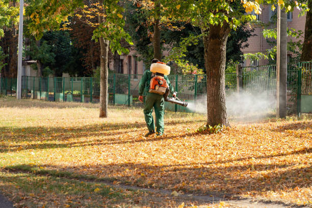 Best Local Pest Control Services  in Forestbrook, SC