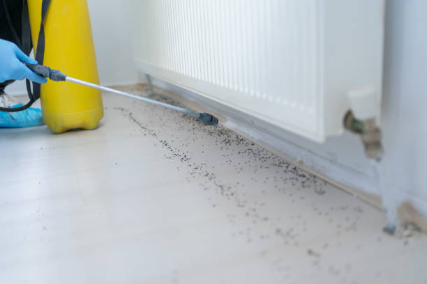 Best Affordable Pest Control Services  in Forestbrook, SC