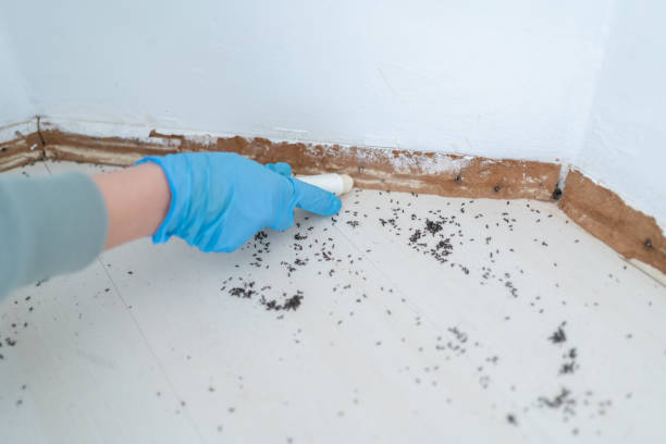 Best Pest Control for Businesses  in Forestbrook, SC