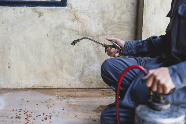 Best Best Pest Control Companies  in Forestbrook, SC